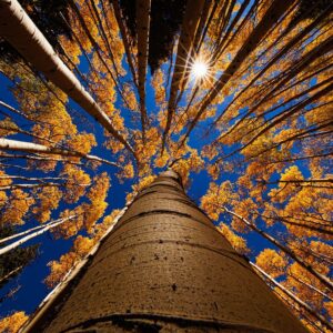 Landscape of Spring sunrising morning